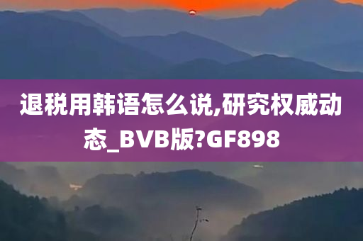 退税用韩语怎么说,研究权威动态_BVB版?GF898