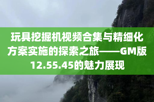 玩具挖掘机视频合集与精细化方案实施的探索之旅——GM版12.55.45的魅力展现