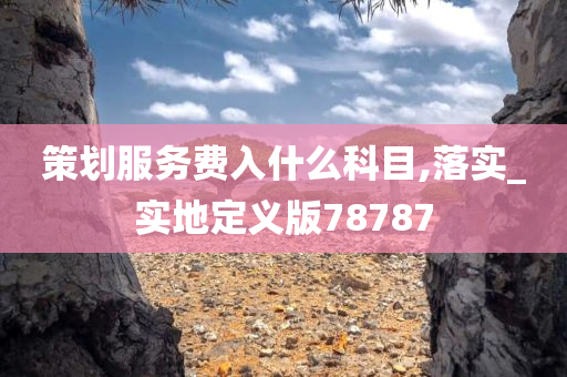 策划服务费入什么科目,落实_实地定义版78787