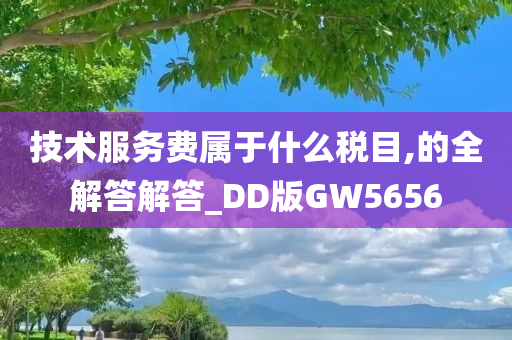 技术服务费属于什么税目,的全解答解答_DD版GW5656