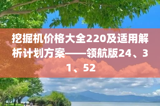 挖掘机价格大全220及适用解析计划方案——领航版24、31、52