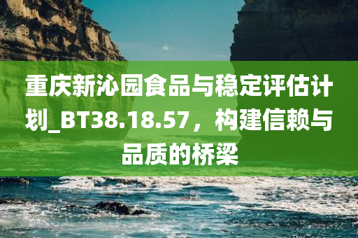 重庆新沁园食品与稳定评估计划_BT38.18.57，构建信赖与品质的桥梁