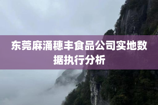 东莞麻涌穗丰食品公司实地数据执行分析