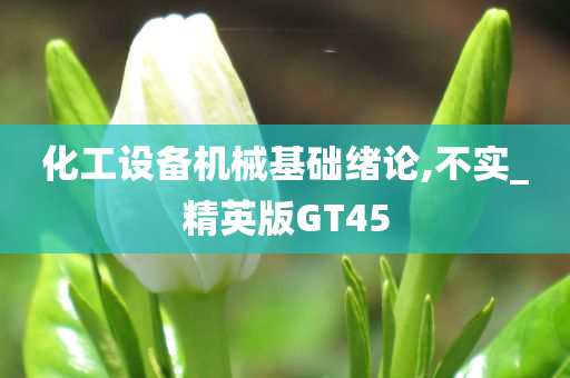 化工设备机械基础绪论,不实_精英版GT45