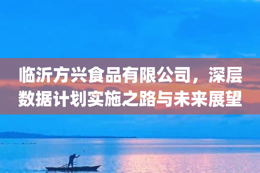 临沂方兴食品有限公司，深层数据计划实施之路与未来展望