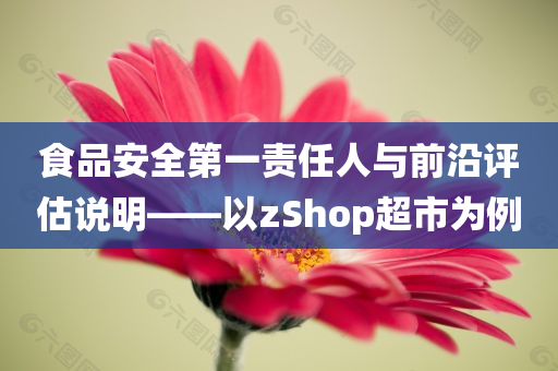 食品安全第一责任人与前沿评估说明——以zShop超市为例