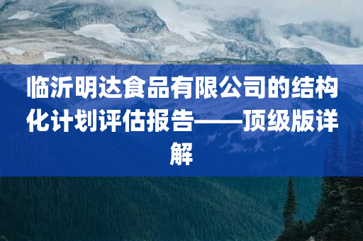 临沂明达食品有限公司的结构化计划评估报告——顶级版详解