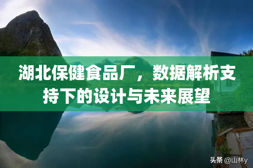 湖北保健食品厂，数据解析支持下的设计与未来展望