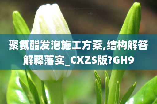 聚氨酯发泡施工方案,结构解答解释落实_CXZS版?GH9