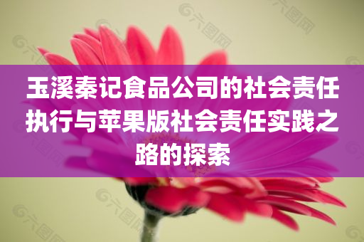 玉溪秦记食品公司的社会责任执行与苹果版社会责任实践之路的探索