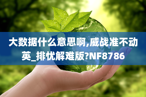 大数据什么意思啊,威战准不动英_排忧解难版?NF8786