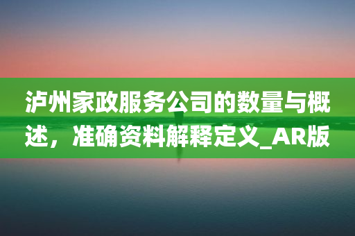 泸州家政服务公司的数量与概述，准确资料解释定义_AR版