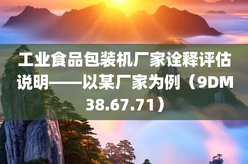 工业食品包装机厂家诠释评估说明——以某厂家为例（9DM38.67.71）