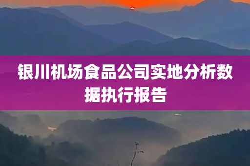 银川机场食品公司实地分析数据执行报告