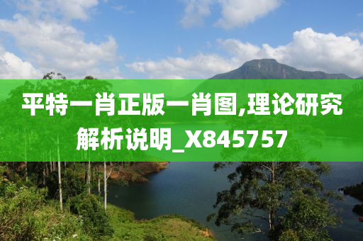 平特一肖正版一肖图,理论研究解析说明_X845757