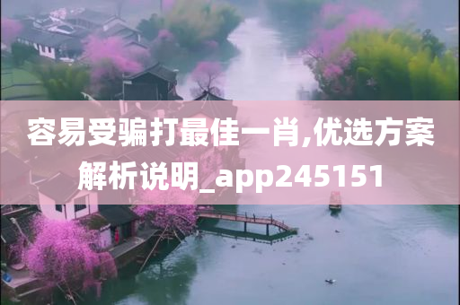 容易受骗打最佳一肖,优选方案解析说明_app245151