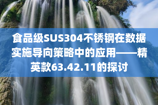 食品级SUS304不锈钢在数据实施导向策略中的应用——精英款63.42.11的探讨