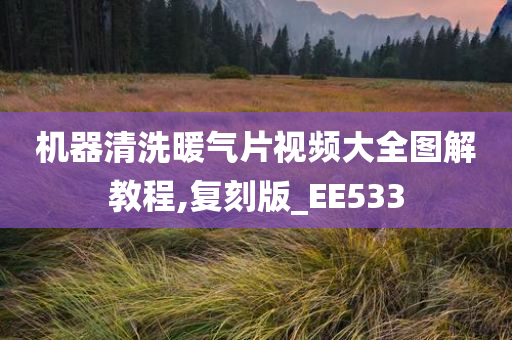 机器清洗暖气片视频大全图解教程,复刻版_EE533