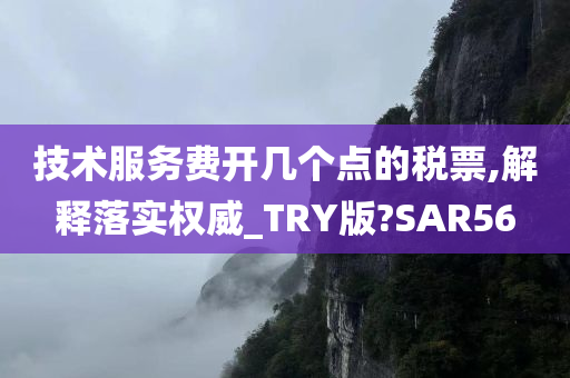 技术服务费开几个点的税票,解释落实权威_TRY版?SAR56