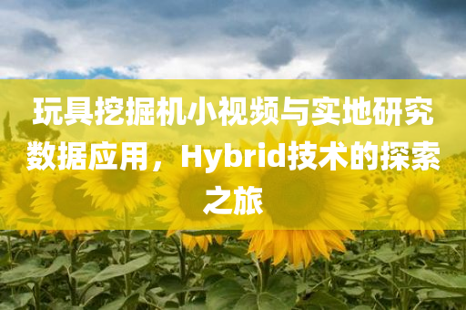 玩具挖掘机小视频与实地研究数据应用，Hybrid技术的探索之旅