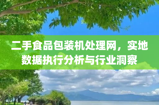 二手食品包装机处理网，实地数据执行分析与行业洞察