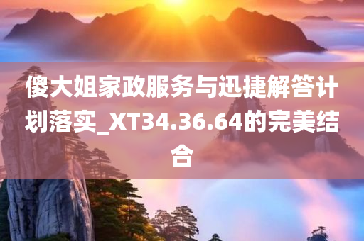 傻大姐家政服务与迅捷解答计划落实_XT34.36.64的完美结合