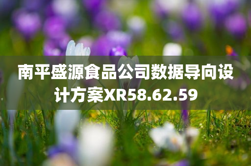 南平盛源食品公司数据导向设计方案XR58.62.59