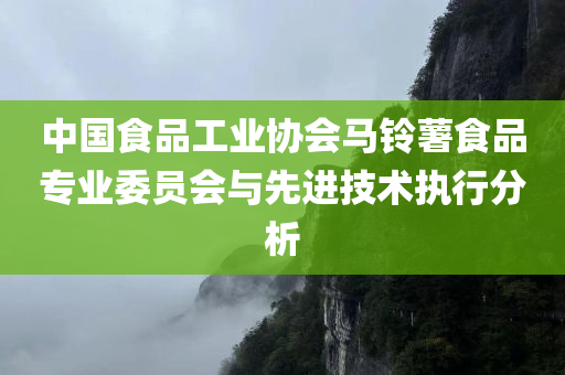 中国食品工业协会马铃薯食品专业委员会与先进技术执行分析