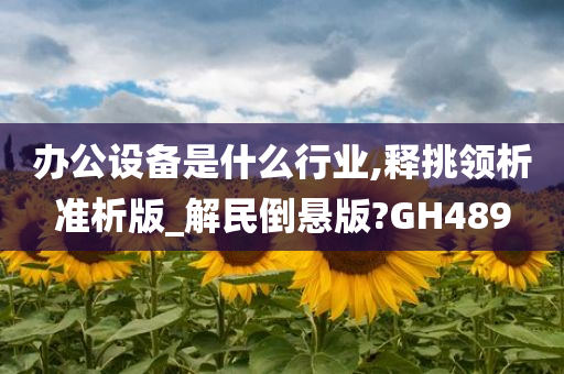 办公设备是什么行业,释挑领析准析版_解民倒悬版?GH489